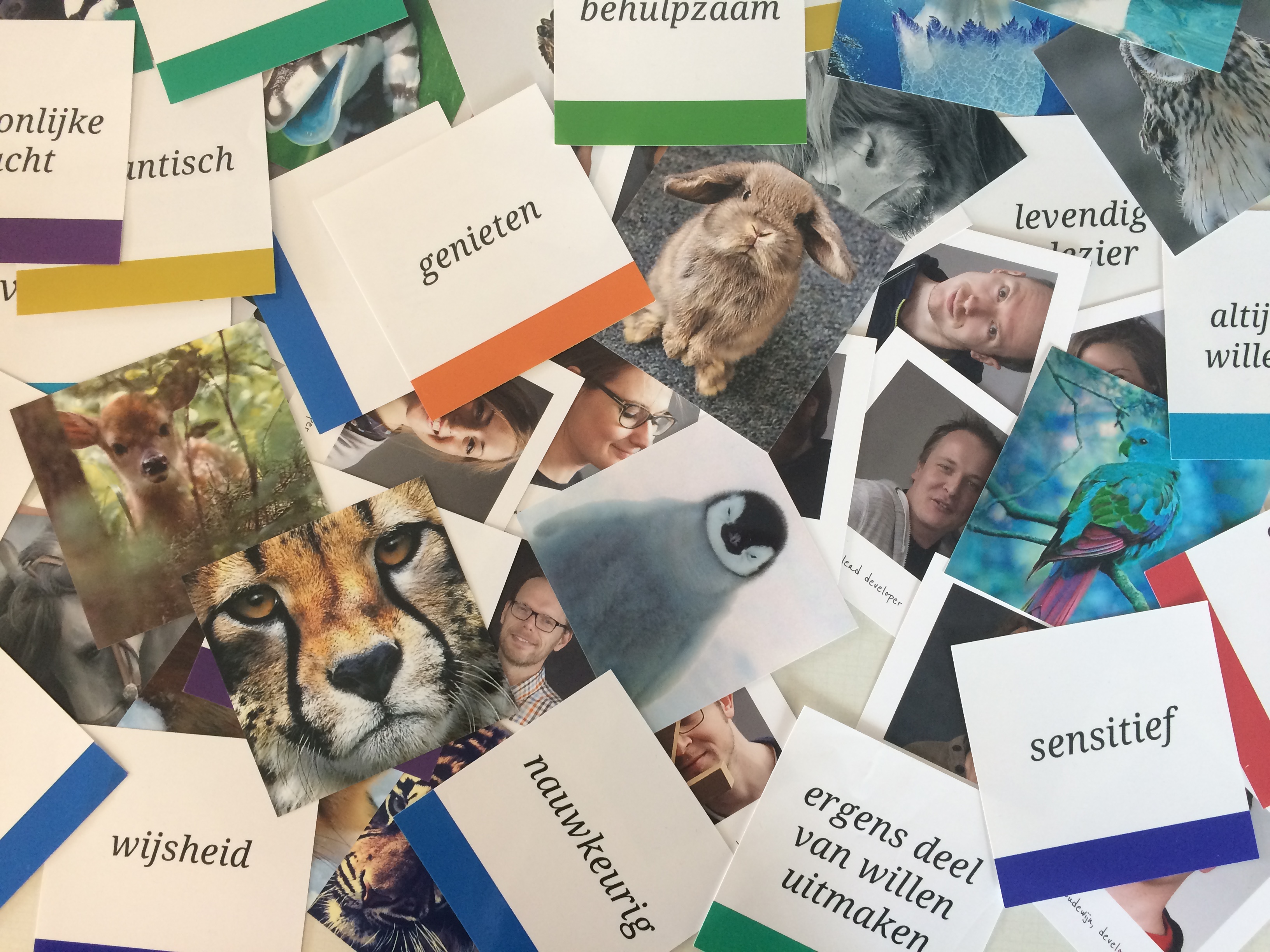 Kaarten als gespreksstarter